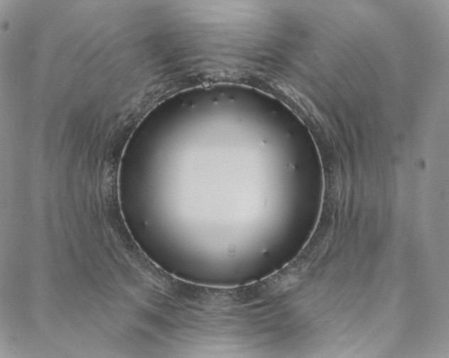 X0000088020513200705251055