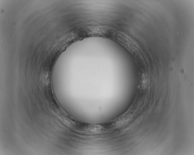 X0000088020514200705251055