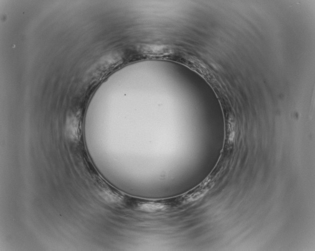 X0000088020515200705251055