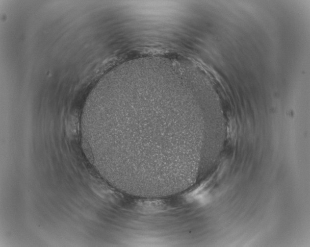 X0000088020517200705251055