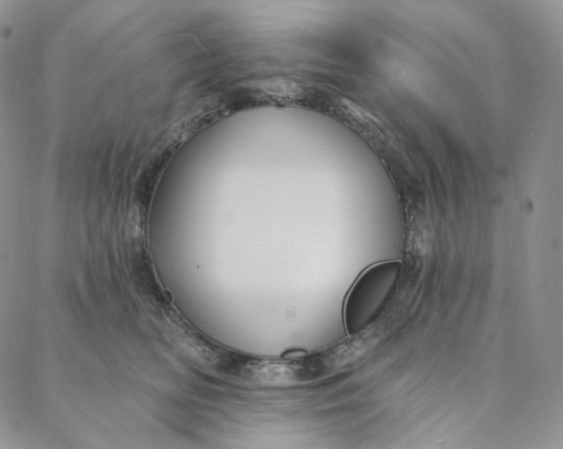 X0000088020518200705251055