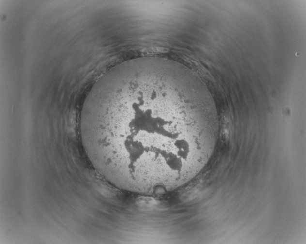 X0000088020519200705251055