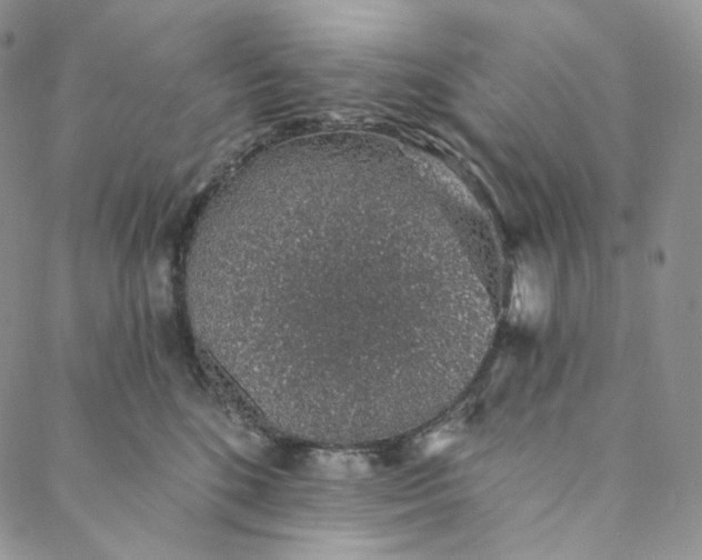 X0000088020520200705251055