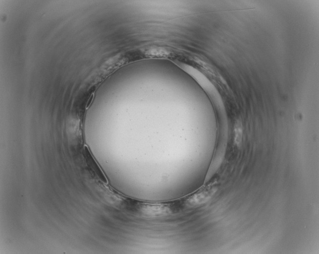 X0000088020521200705251055