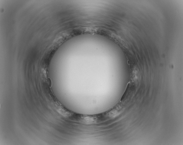 X0000088020522200705251055