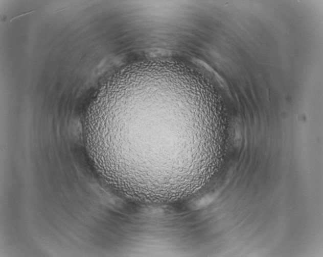 X0000088020523200705251055