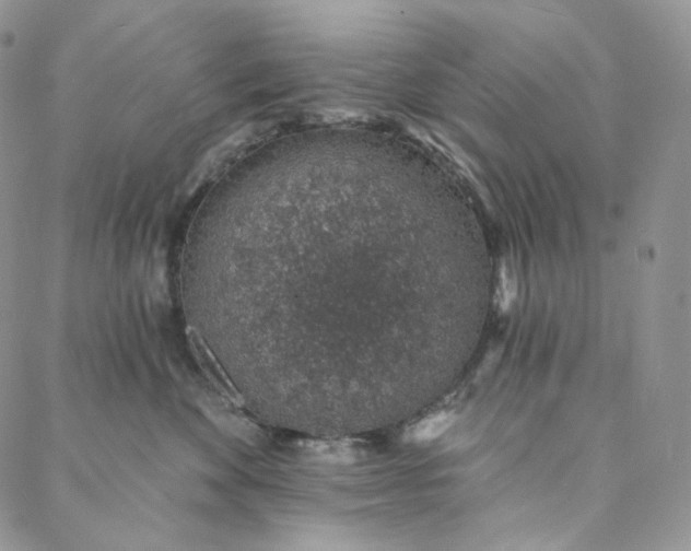 X0000088020524200705251055