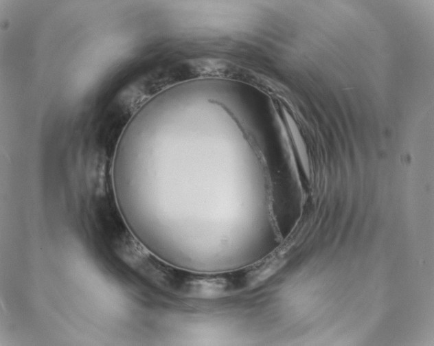 X0000088020525200705251055