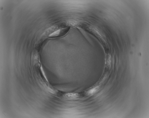 X0000088020526200705251055