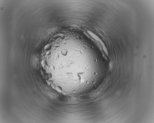 X0000088020527200705251055