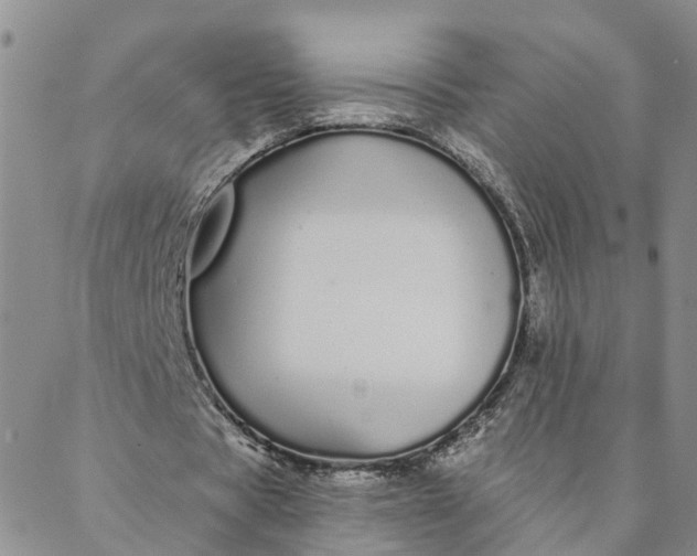 X0000088020529200705251054