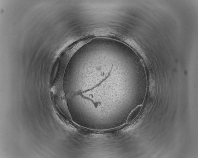 X0000088020530200705251054