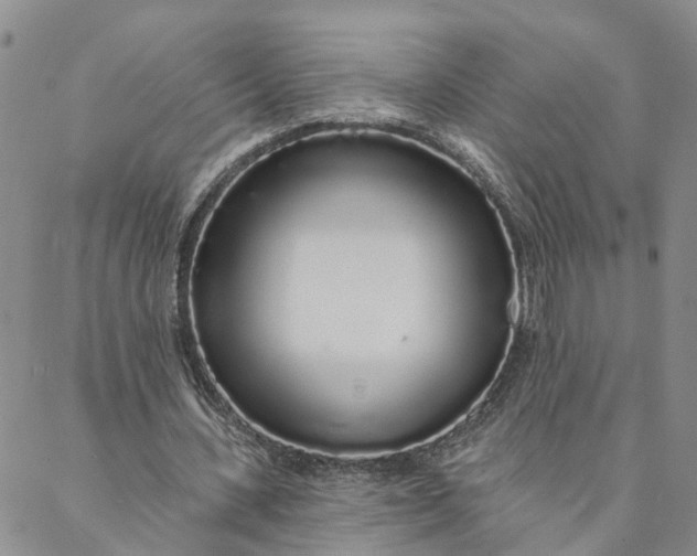 X0000088020531200705251054