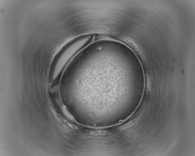 X0000088020532200705251054