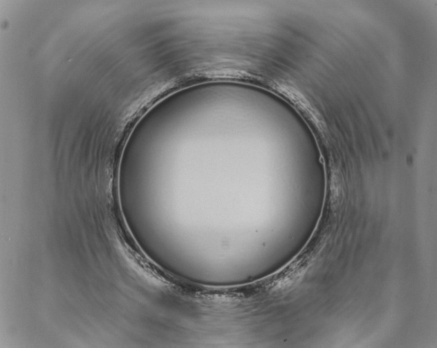 X0000088020533200705251054