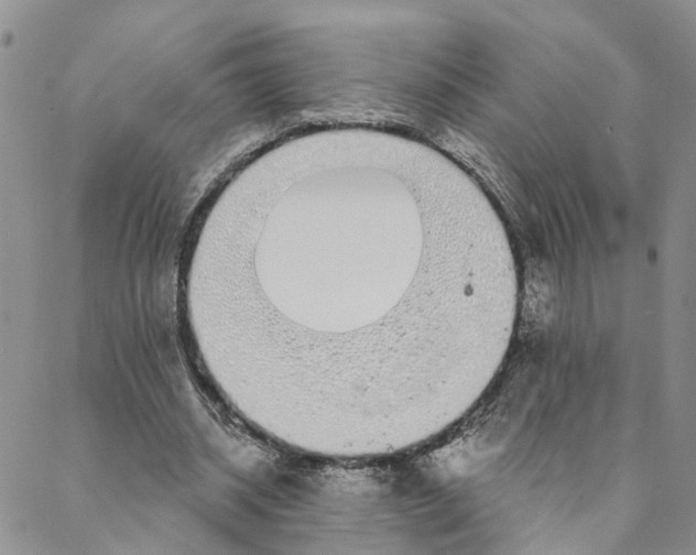 X0000088020534200705251054