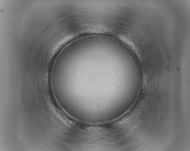 X0000088020535200705251054