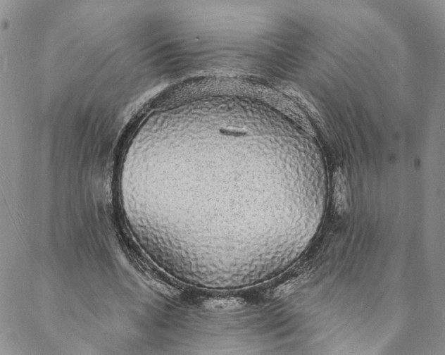 X0000088020536200705251054