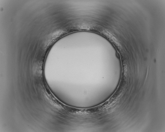 X0000088020537200705251054