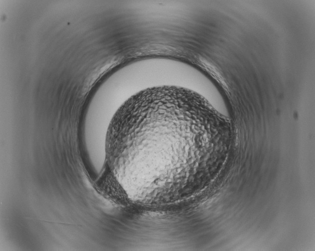 X0000088020538200705251054