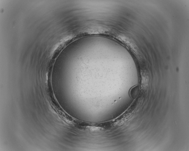 X0000088020539200705251054