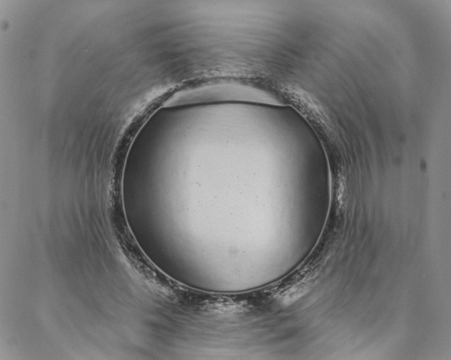 X0000088020540200705251054