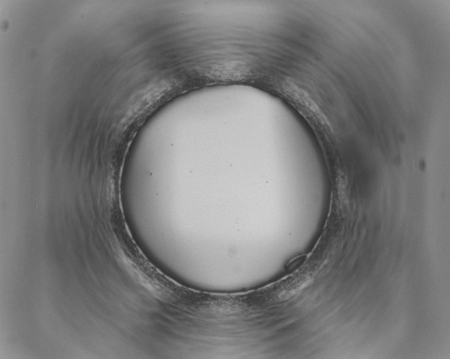 X0000088020541200705251054