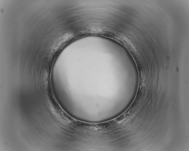 X0000088020542200705251054