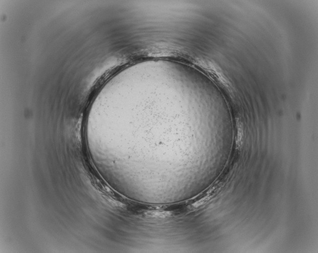 X0000088020543200705251054