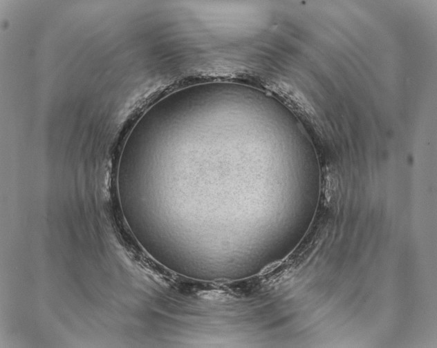 X0000088020544200705251054