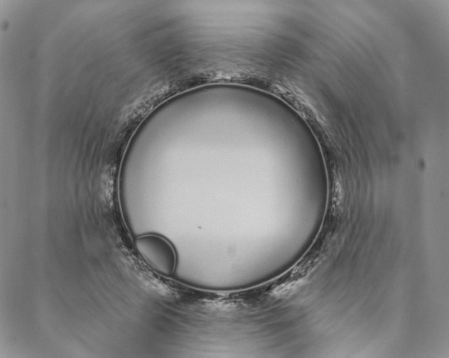 X0000088020545200705251054