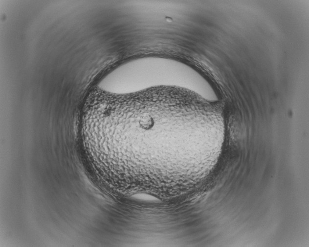 X0000088020546200705251054