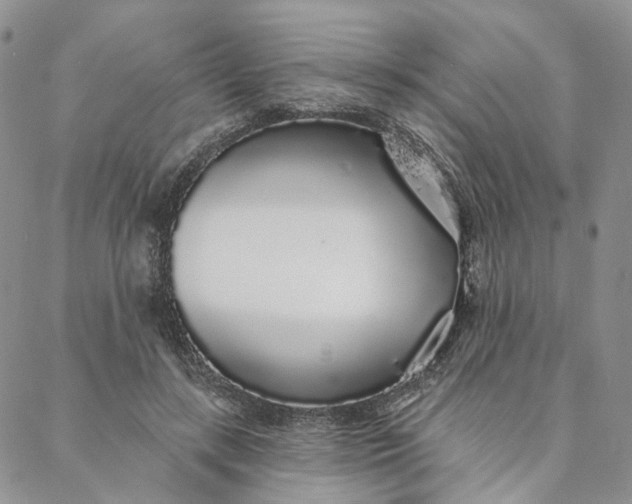 X0000088020547200705251054