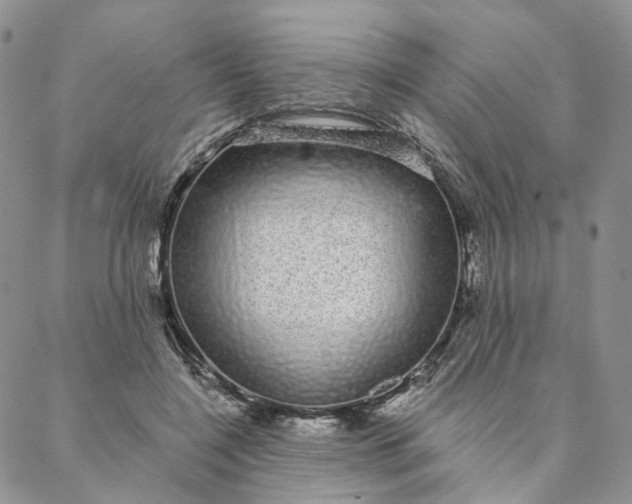 X0000088020548200705251054