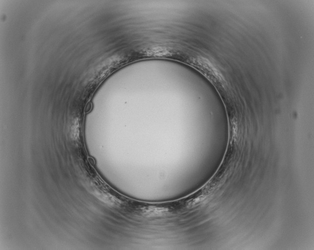 X0000088020549200705251054