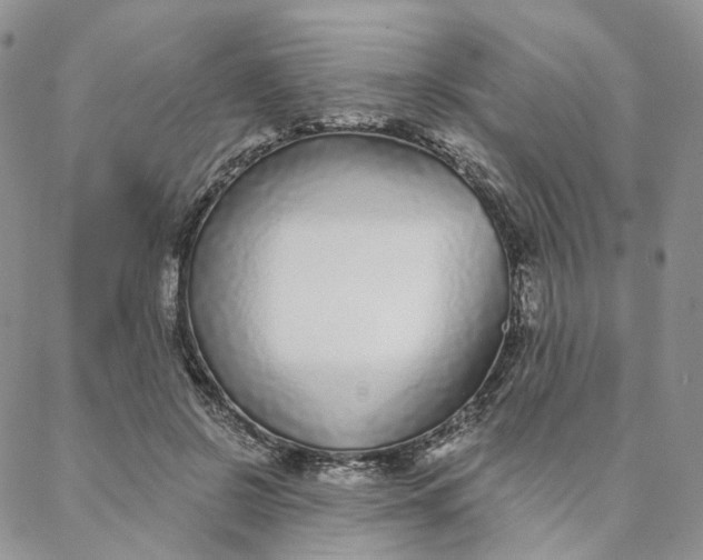 X0000088020550200705251054