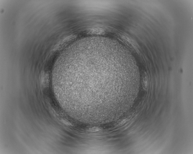 X0000088020551200705251054