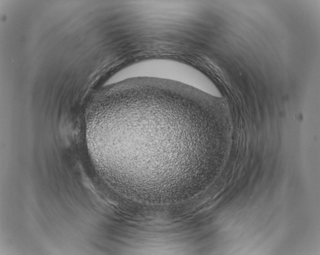 X0000088020552200705251054