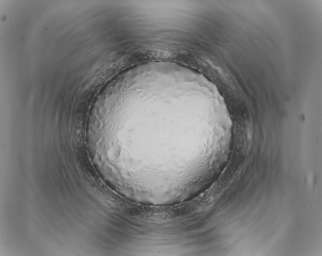 X0000088020553200705251054