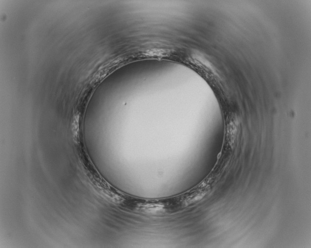 X0000088020554200705251054