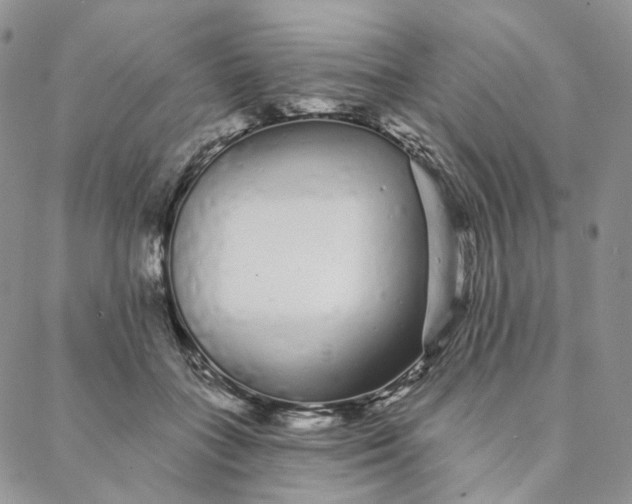 X0000088020555200705251054