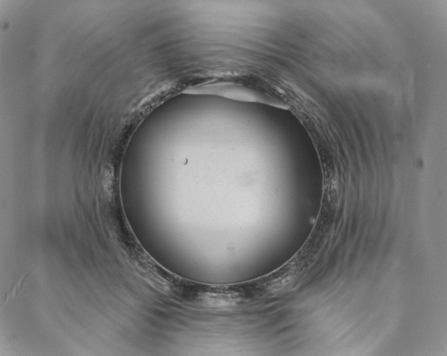 X0000088020556200705251054