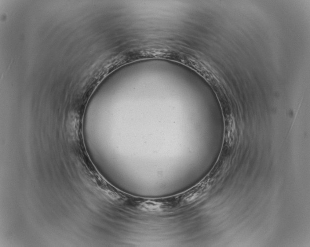 X0000088020557200705251054