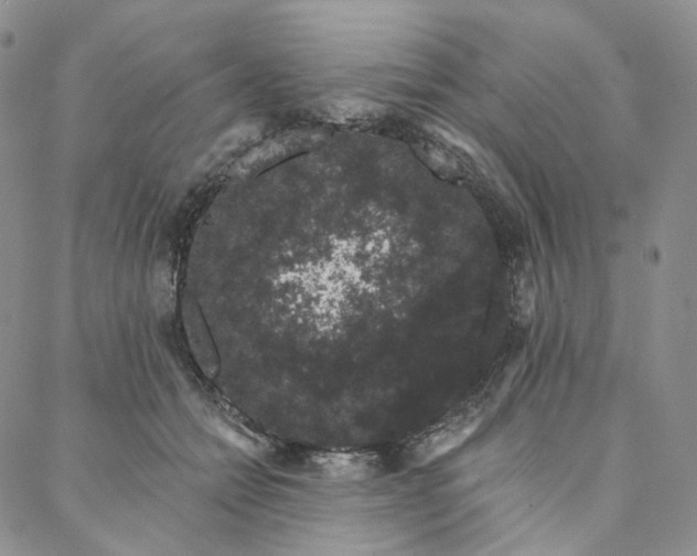 X0000088020558200705251054