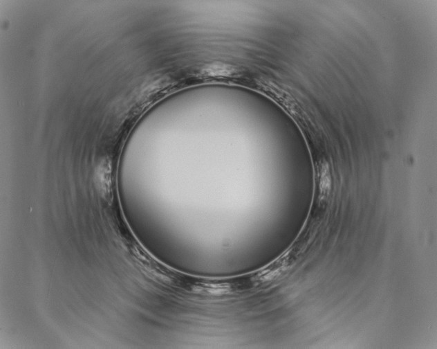 X0000088020559200705251054