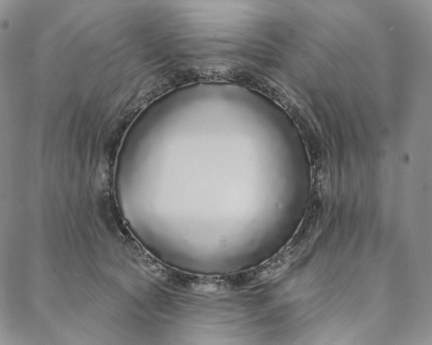 X0000088020561200705251054