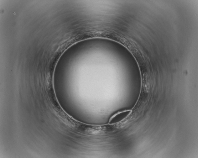 X0000088020563200705251054