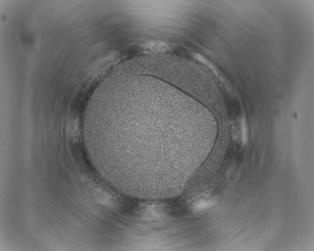 X0000088020564200705251054