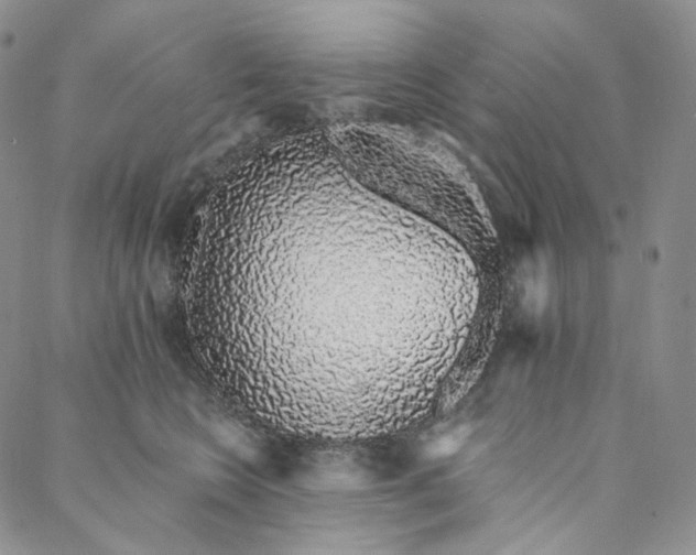 X0000088020566200705251054