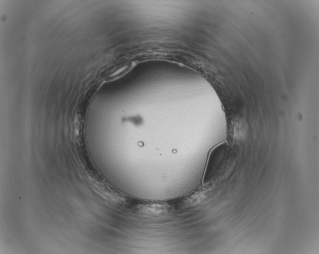 X0000088020567200705251054